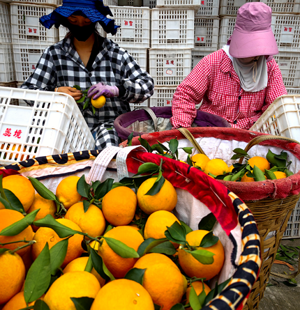 微信图片_20241105153621 微信图片_20241105153621