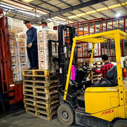 微信图片_20241105153628 微信图片_20241105153628