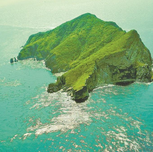 蛇岛上的“守蛇人” 张旭 吕东浩