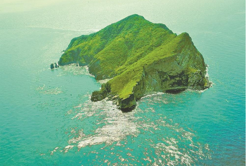 1731030897005 1731030897005