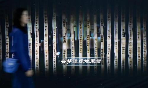 2024年4月15日，参观者在云梦县博物馆睡虎地秦简展厅参观。新华社记者 肖艺九 摄