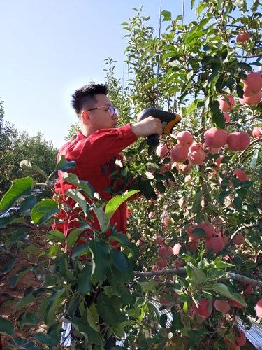 11月23日7版配图(分离图)Wecha(5757653)-20241123152039