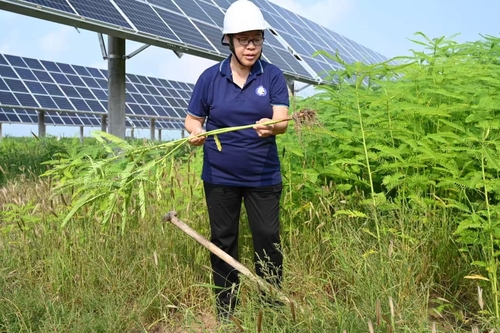 b9417c4ce03aefc1966e(5761116)-20241125105535 b9417c4ce03aefc1966e(5761116)-20241125105535