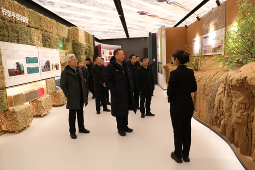 1733286098872 1733286098872