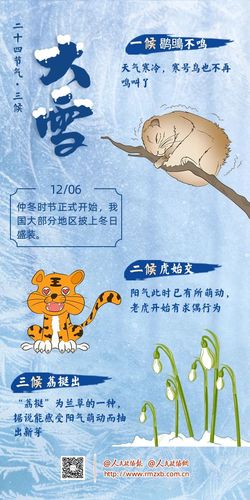 大雪海报 大雪海报