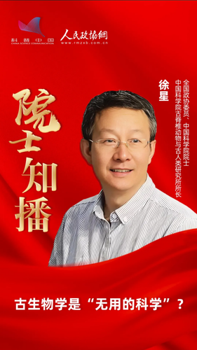 111111111111 111111111111