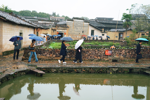 △11月1日，采访团一行走进金溪县竹桥村。