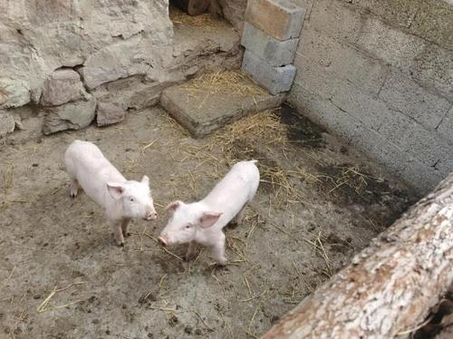 360截图20241218093256522