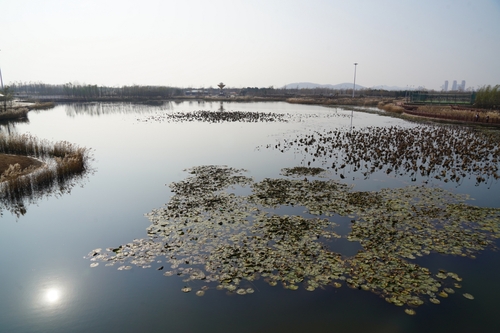 1734523795550346 1734523795550346