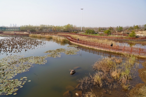 1734523803865498 1734523803865498