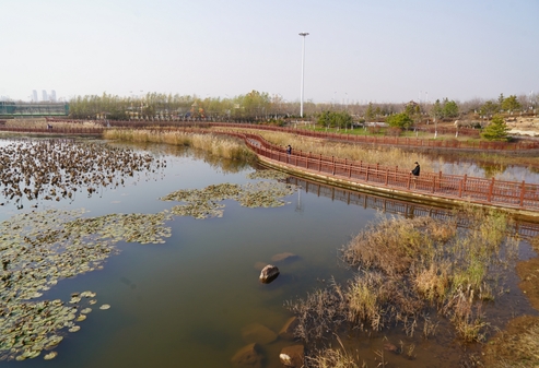 “红崖”协商，“商”出县域“海绵城市”新样本