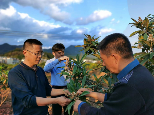 微信截图_20241220140901 微信截图_20241220140901