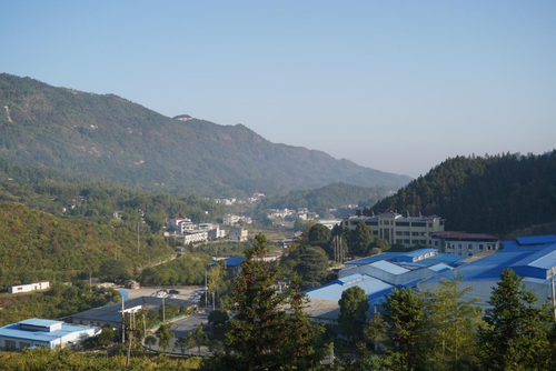 微信截图_20241220173036 微信截图_20241220173036