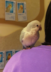 fd14616858774c2fbd60adcc8dcaeca6 fd14616858774c2fbd60adcc8dcaeca6