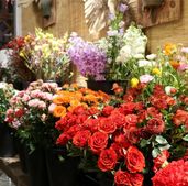 年宵花量价齐升 科技赋能“鲜花经济”