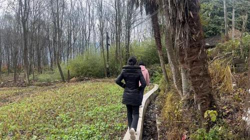 360截图20241230212032671 360截图20241230212032671