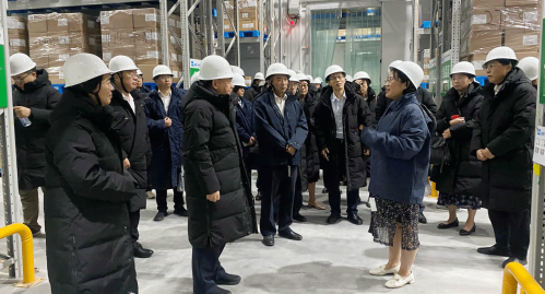 W020250110334840920687 W020250110334840920687