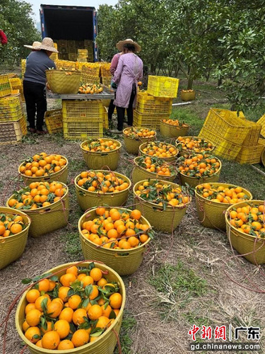 e0ad2350c42147ceb7b4af533e331a5b e0ad2350c42147ceb7b4af533e331a5b