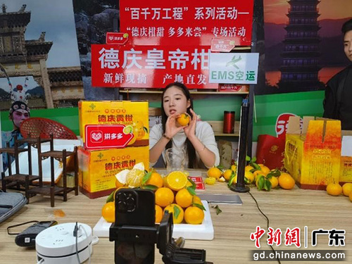 29336940904a438291e686f8b2a142a2 29336940904a438291e686f8b2a142a2