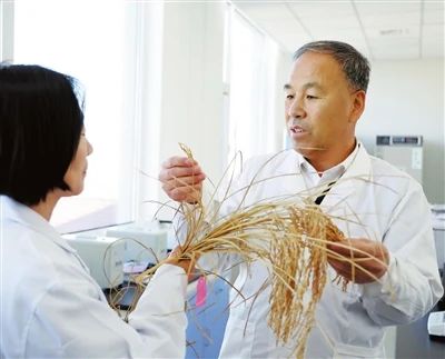 微信图片_20250114195224 微信图片_20250114195224