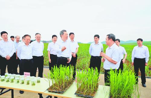 360截图20250115135630343 360截图20250115135630343