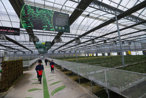 微信截图_20250117144057 微信截图_20250117144057