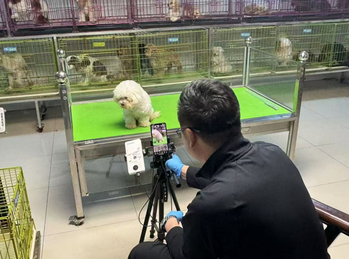 微信截图_20250121112055