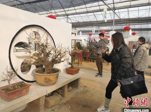 360截图20250126093147656 360截图20250126093147656