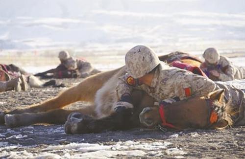 360截图20250206142621476 360截图20250206142621476