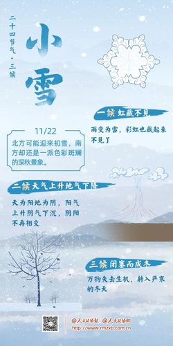 小雪 小雪