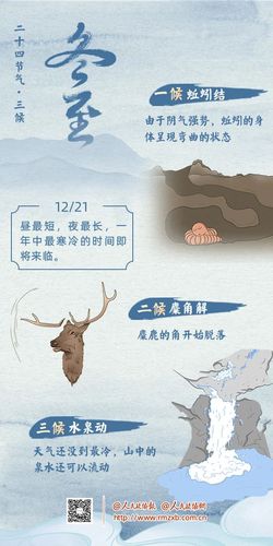 微信图片_20250211110333 微信图片_20250211110333