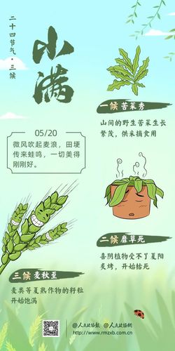 微信图片_20250211154332 微信图片_20250211154332