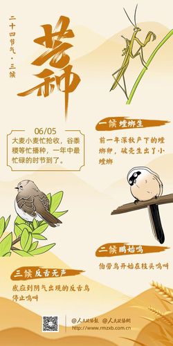 微信图片_20250211155600 微信图片_20250211155600