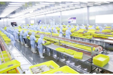 新质供给助外贸工厂成功转内销：85后海归拼多多卖鱿鱼仔年销千万