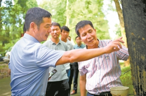 微信截图_20250220083453 微信截图_20250220083453