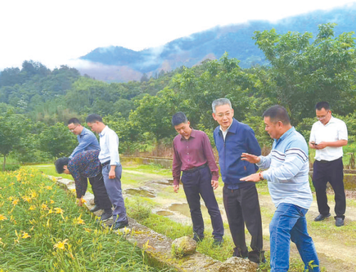 微信截图_20250222084054 微信截图_20250222084054