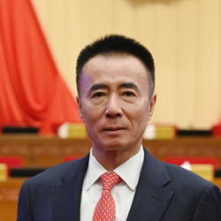 丹心从来系家国