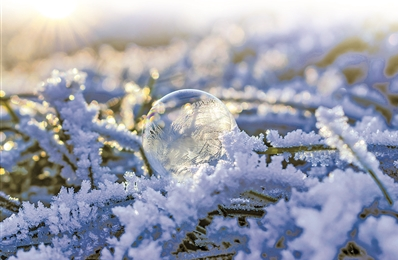 截图20250305090905 截图20250305090905