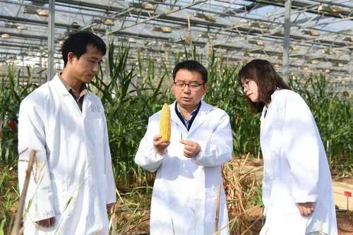 委员通道未完的故事，严建兵，工作照片(分(6554213)-20250305102623