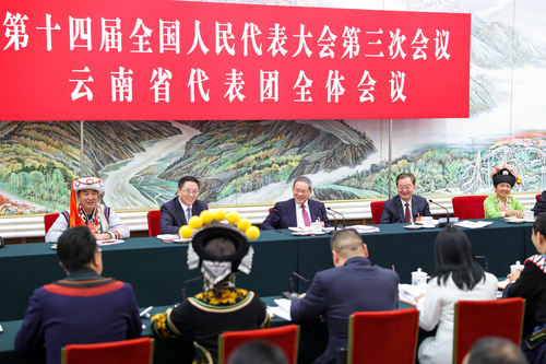 两会丨李强参加云南代表团审议(6584976)-20250306002202 两会丨李强参加云南代表团审议(6584976)-20250306002202