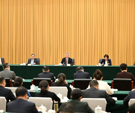 李希参加共青团和青联、总工会、妇联界委员联组会