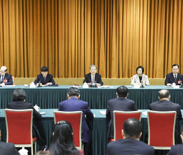 赵乐际参加致公党、侨联、对外友好界委员联组会