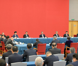 李强参加经济、农业界委员联组会