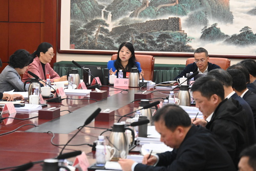 （两会——听她们的声音）贾宁摄(6624507)-20250308082345