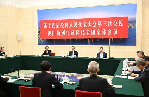 3月7日上午，中共中央政治局常委、国务院副总理丁薛祥参加十四届全国人大三次会议澳门代表团审议。新华社记者 李响 摄