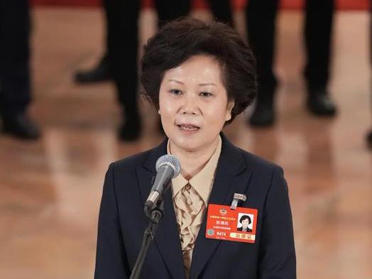 陈清莉委员：希望越来越多台湾同胞把握好大陆难得的发展机遇