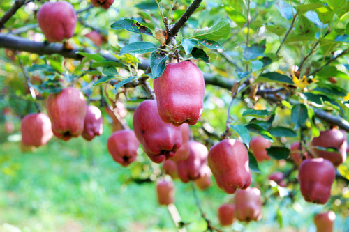 bc6b7b5b81f827d4680b5c5910a525e bc6b7b5b81f827d4680b5c5910a525e