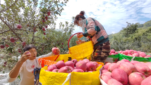 e353a5f1daa99ba01ab7de8b4c1fff6 e353a5f1daa99ba01ab7de8b4c1fff6