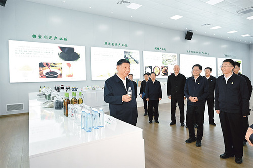 2025031532598cd0b1d24a098646c7a8fd8608c1_202503150eed296e61724953a5e4f6f7a89b98ff 2025031532598cd0b1d24a098646c7a8fd8608c1_202503150eed296e61724953a5e4f6f7a89b98ff