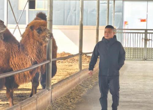 360截图20250402082317179